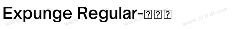 Expunge Regular字体转换